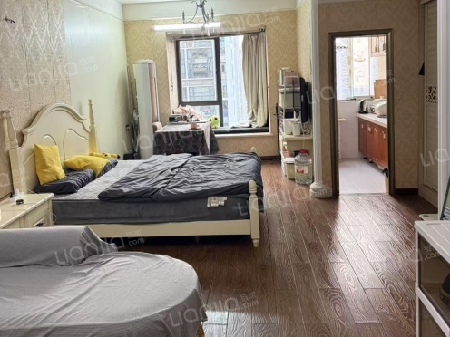 整租·劲力五星城自由地 1室1厅 东南