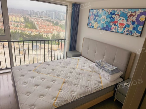 整租·龙湖新壹城 1室1厅 南/北