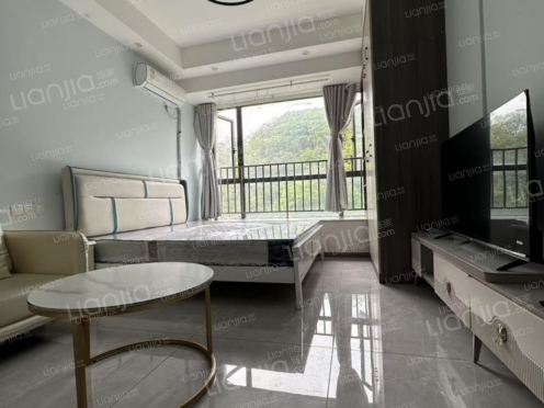 整租·金融城铭悦 1室1厅 南