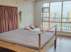 整租·旺角星辰 1室1厅 东_旺角星辰租房