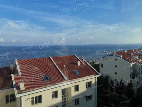 整租·金海广场 3室1厅 南