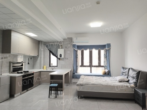 整租·恒大绿洲 1室0厅 南