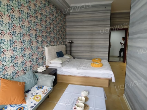 整租·鸿坤新维港 1室1厅 东