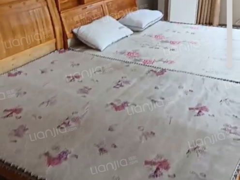 整租·万家新城D区 1室0厅 南/北