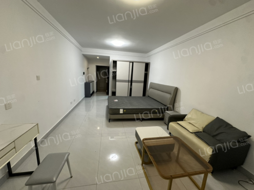 整租·福满欣城 1室1厅 南/北