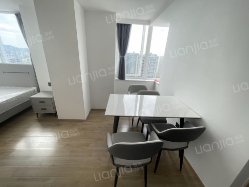 整租·同进韵动城 1室1厅 西南