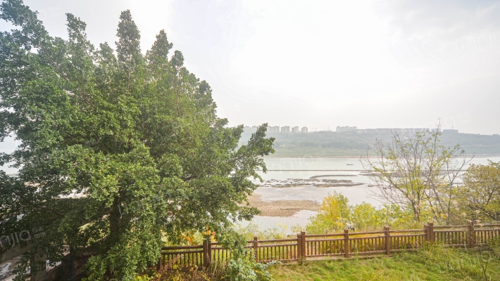 一线临江别墅，直看礼嘉滨江公园-窗外景观