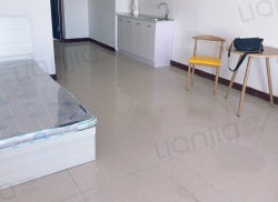 整租·金城大厦 1室1厅 南_金城大厦租房