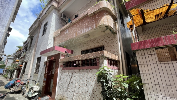 沙田新村二手房实景图