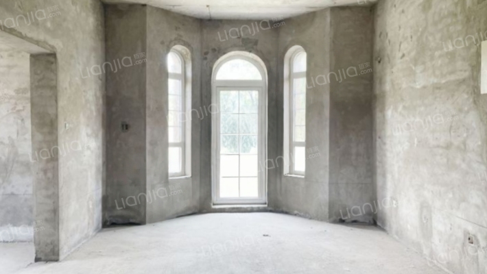 柏林顿水郡 独栋别墅 毛坯 大院子 边户-餐厅