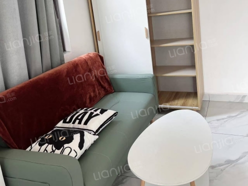 整租·世纪皇冠 1室1厅 西南