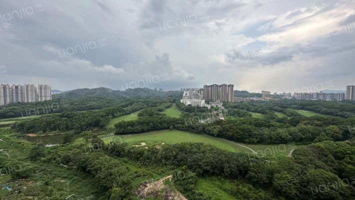 朝南毛坯 中间楼层 花园中间 安静不吵 户型方正合理-窗外景观