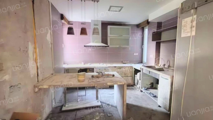 东京都高尔夫 临水 独栋别墅 大院子 好户型-厨房