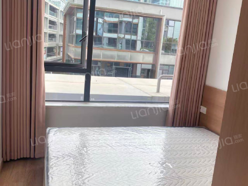 整租·丽雅紫宸 1室1厅 东南