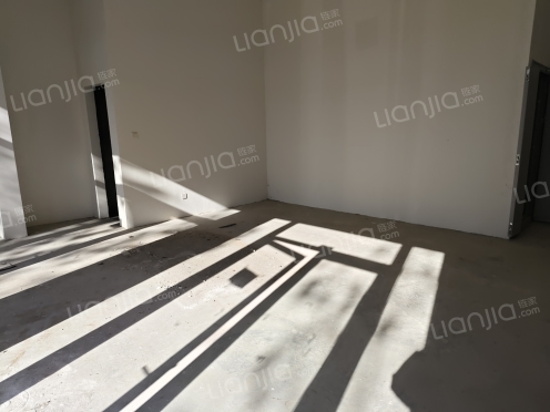 整租·中南保利樾府 1室1厅 南