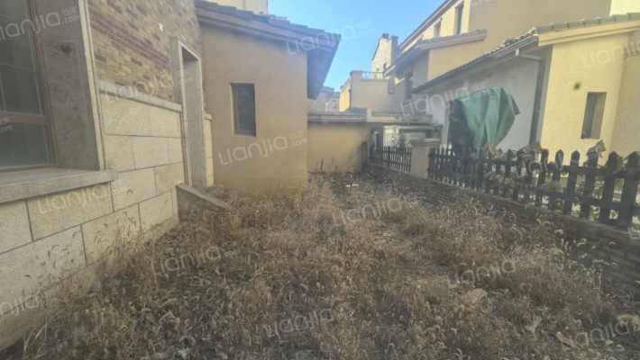 联排类独栋，南北通透，格局好，带院子-露台