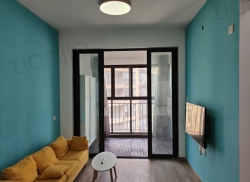 整租·花样年•麓湖国际 1室1厅 南_花样年•麓湖国际租房