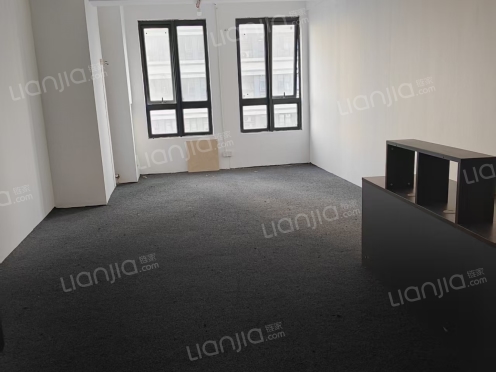 整租·万达广场 1室0厅 南