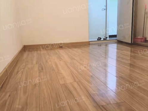 整租·建业置地广场 1室0厅 南