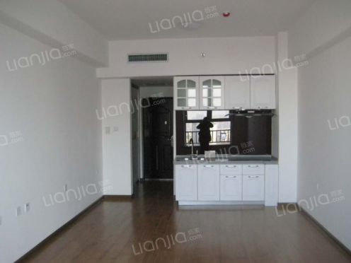 整租·曼哈顿国际公寓 1室0厅 南