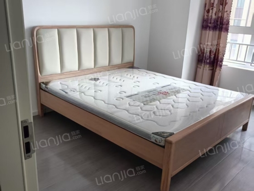 整租·中杰时代公馆 3室1厅 南