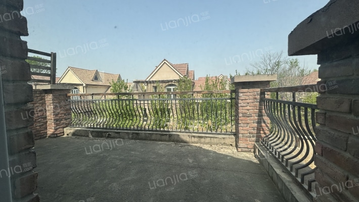 独栋别墅 小户型 大院子 主力户型 采光好-露台