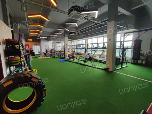 整租·复地花屿城C区 1室1厅 南