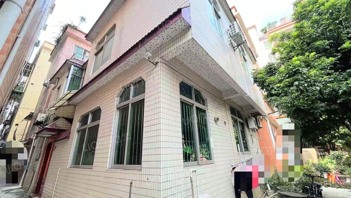 乐从自建房腾冲社区居委会二手房实景图