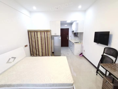 整租·奥体公馆 1室1厅 北