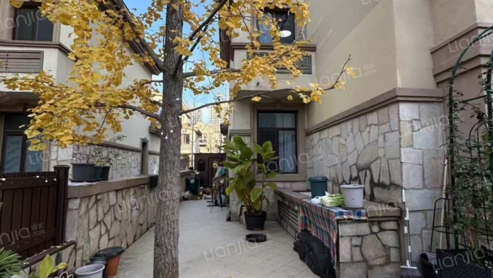 哈佛小镇子 大院子  还是精装修  您说哇塞不哇塞吧-花园