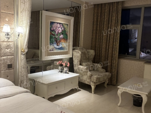 整租·百灵时尚天地 1室1厅 东南