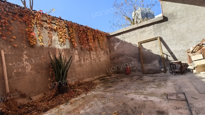 邱庄小区 一层带院 带小房 两居-窗外景观