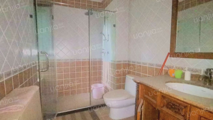 环京独栋 230平带大花园 临湖临水系 210万可谈-卫生间B