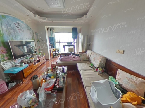 整租·鲁能九龙花园 4室2厅 西南