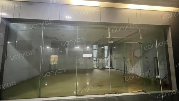 新洲银座二手房实景图