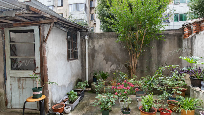 龙凤新村一楼带院子没有浪费，视野开阔，价格好谈-花园