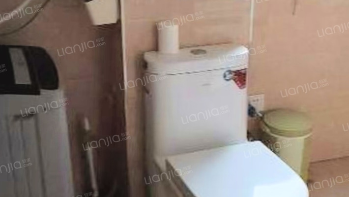 水岸花城，好房源，环境好，交通便利。-卫生间