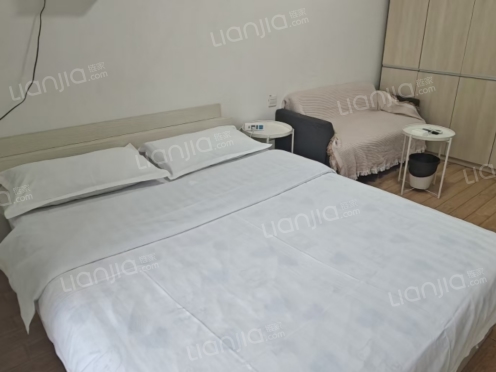 整租·东原D8公馆 1室0厅 南