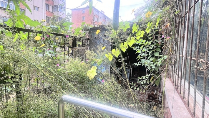 一层带院南北通透两居，采光好，视野好，地理位置优越-花园