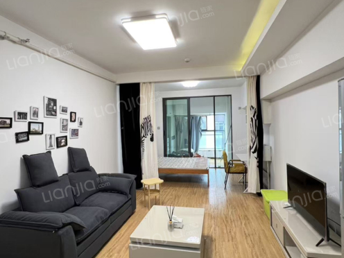 整租·滇池柏悦 1室1厅 南