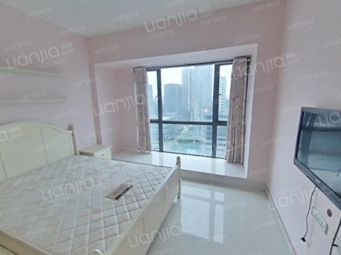 整租·新科国际 1室0厅 南