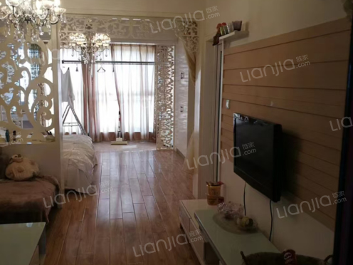 整租·蓝湾国际A区 1室1厅 南