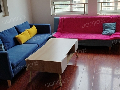 整租·新民社区 3室2厅 东