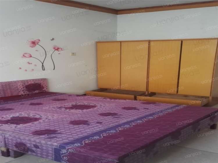 整租·同发机械厂家属院 3室2厅 南/北