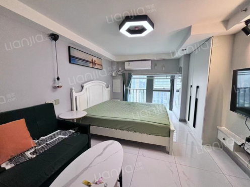 整租·中迪广场 1室0厅 北