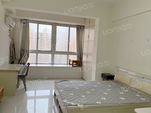 整租·中央公馆 1室1厅 南/北