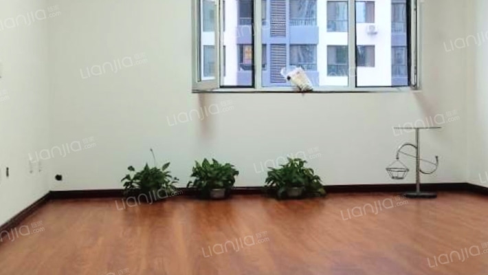 双清别院二手房实景图