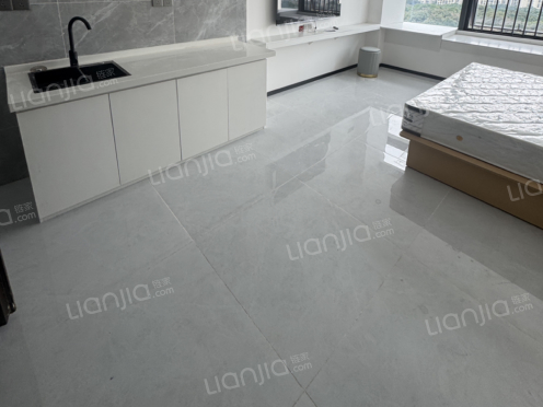 整租·阳光天空之城 1室1厅 东南