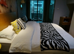 整租·百年荟•城市广场 1室0厅 东/南_百年荟•城市广场租房