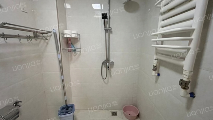 天保青花府 1室2厅 南-卫生间